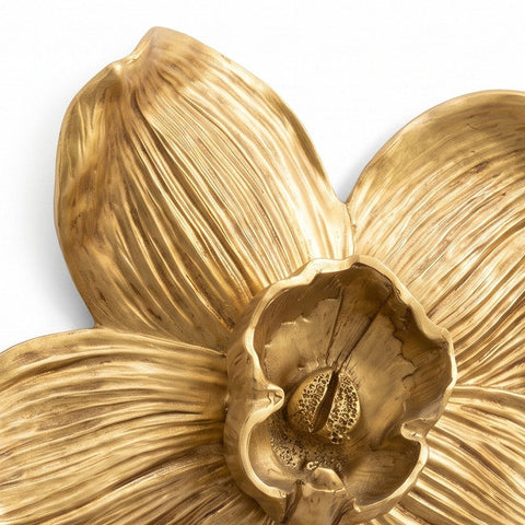 Orquidea Anita — detalle