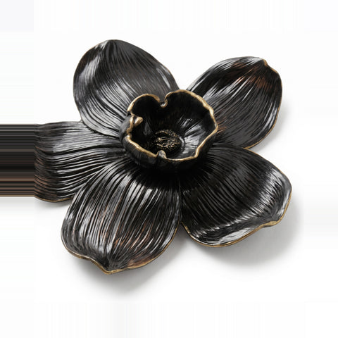 Flor de Costa Rica