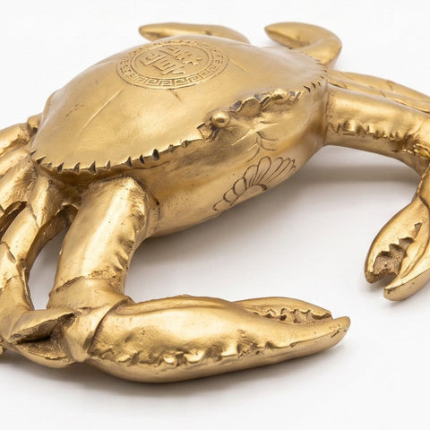 Cangrejito Playero — detalle