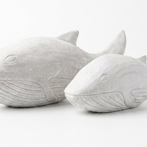 Ballena y Va-vacía gris — detalle