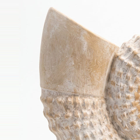 Coral Bahía Zak — detalle