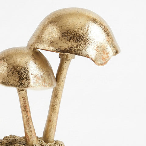 Oro de Imaginación — detalle