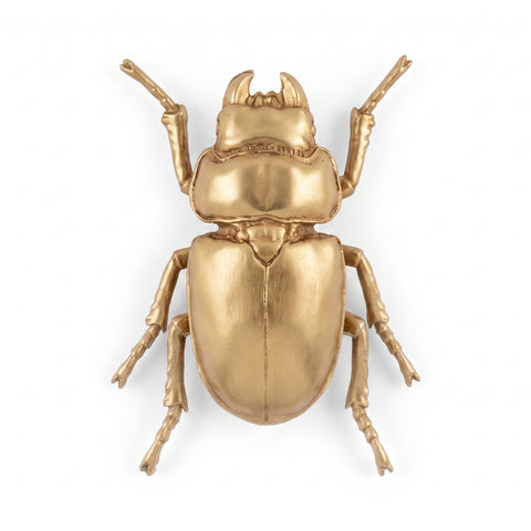 Escarabajo Aureum