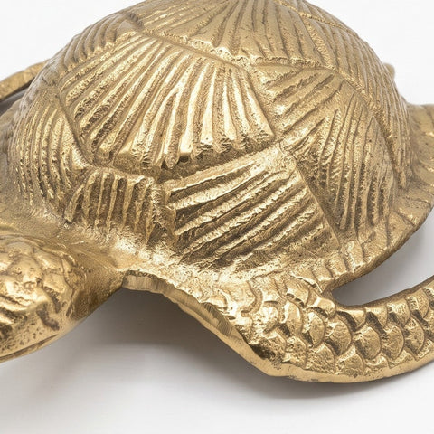 Tortuga Atlas — detalle