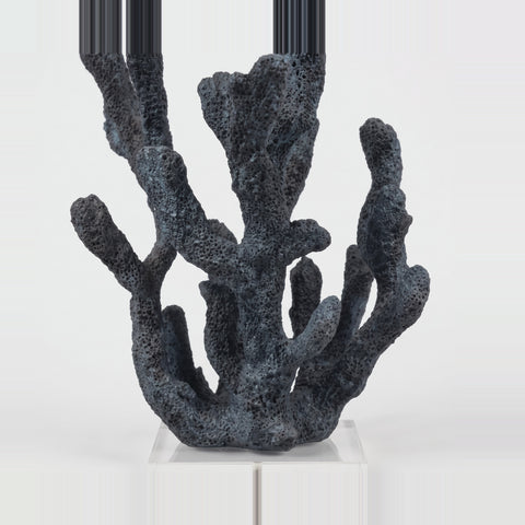 Coral Azul