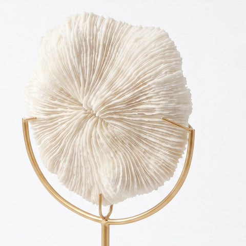 Corio Mini — detalle