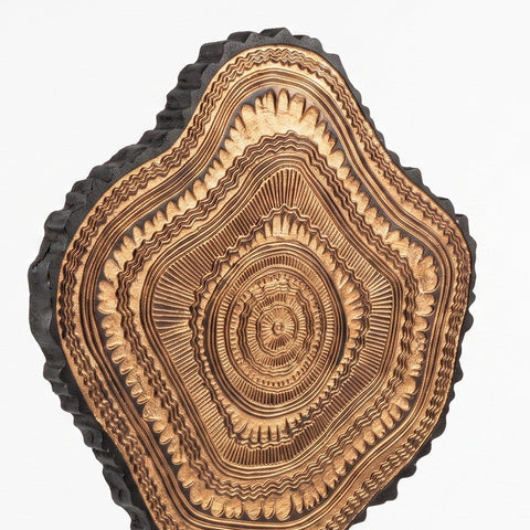 Fósil Cobrizo — detalle